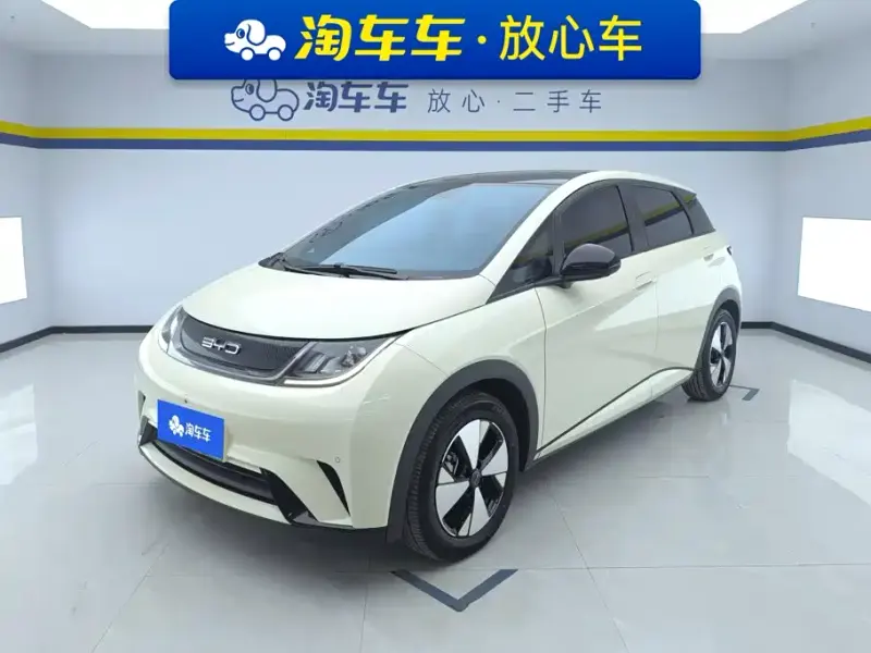 BYD Dolphin, 2024