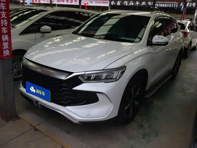 BYD Pro New Energy, 2024
