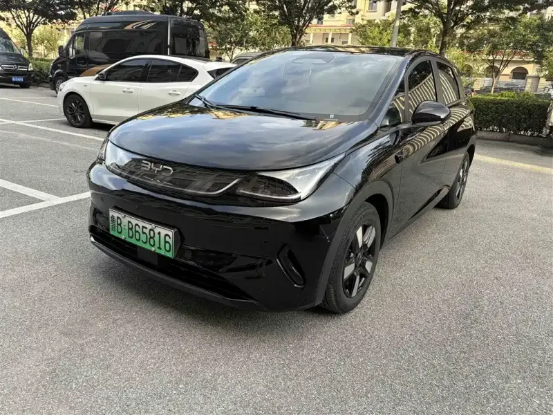 BYD Dolphin, 2025