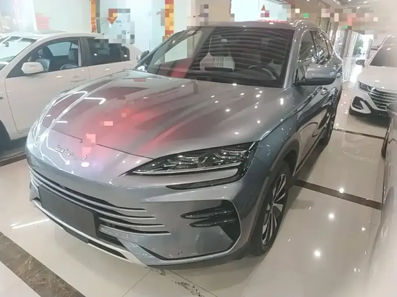 BYD PLUS New Energy, 2024