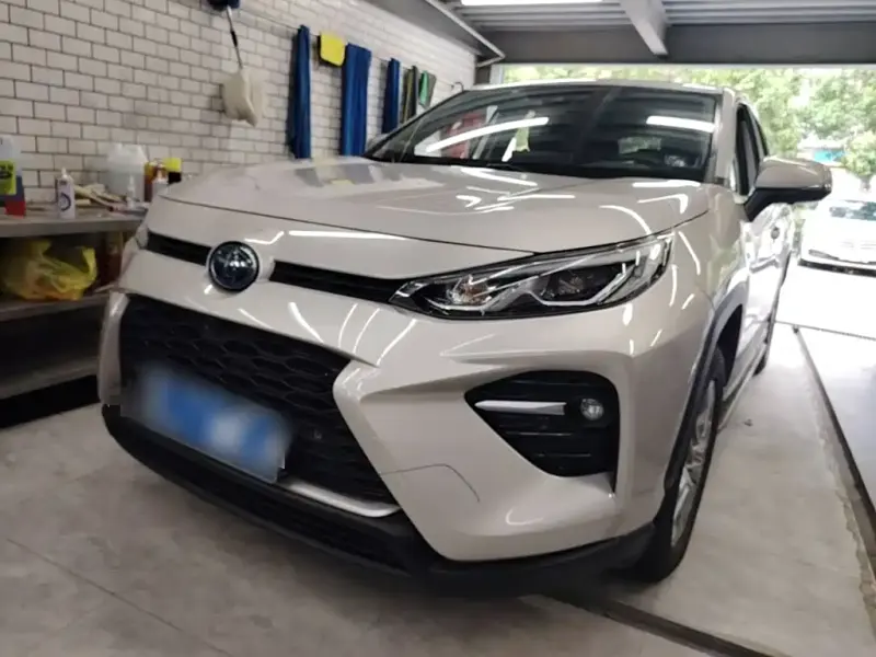 Toyota Wildlander, 2020