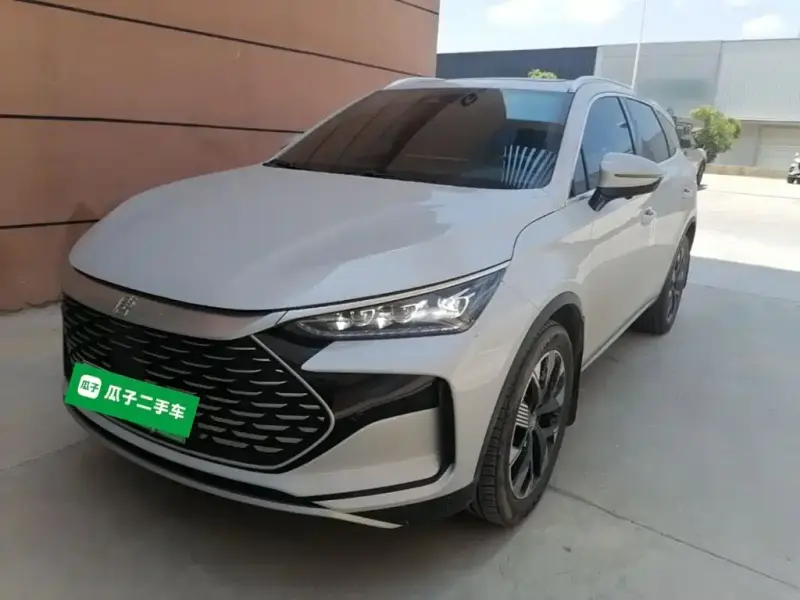 BYD Tang New Energy, 2024