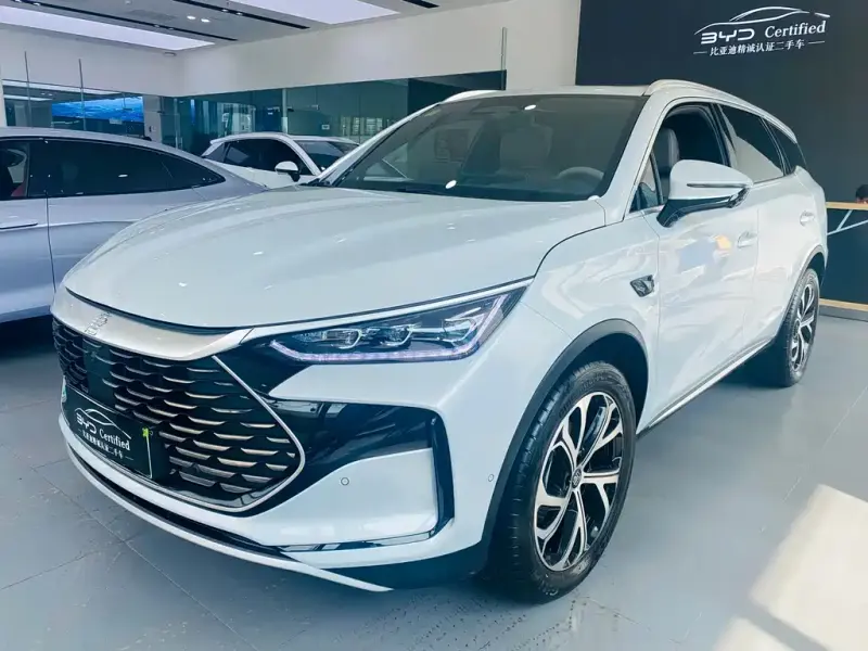 BYD Tang New Energy, 2024