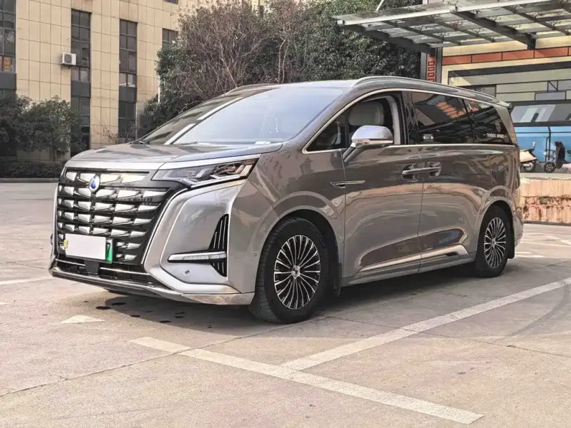 Denza D9, 2023