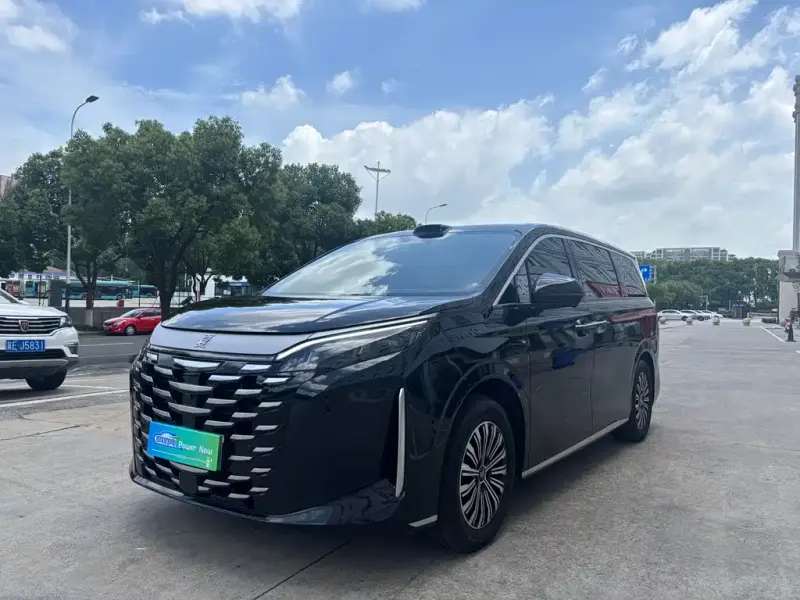 BYD Xia, 2025