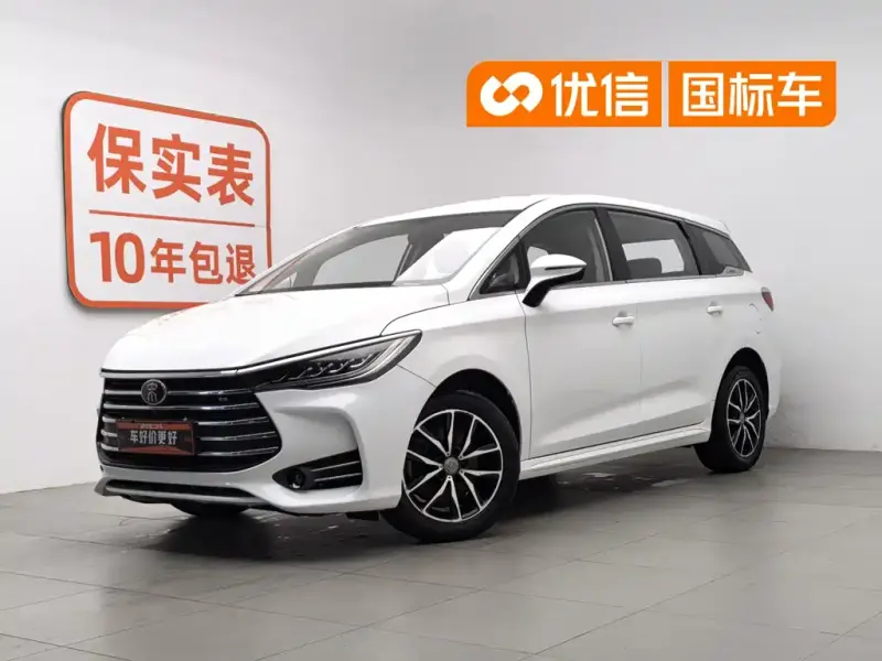BYD MAX, 2019