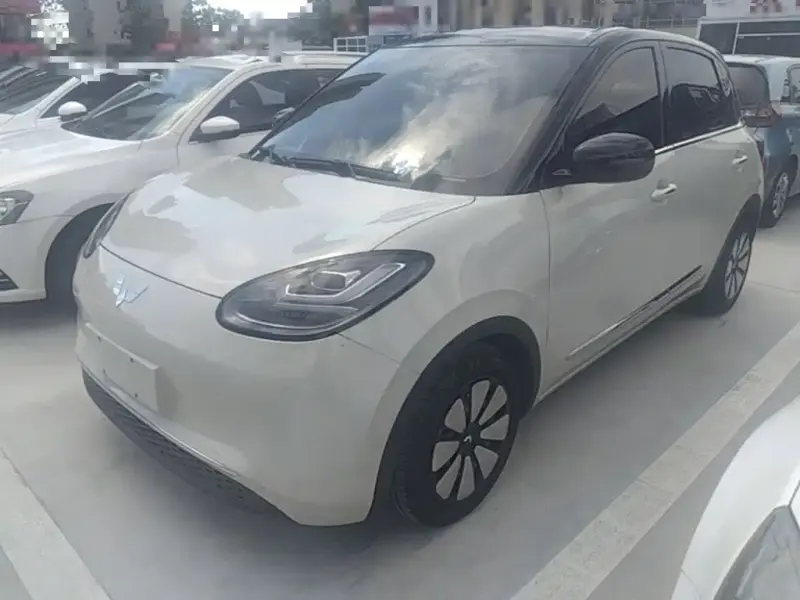 Wuling Bingo, 2023