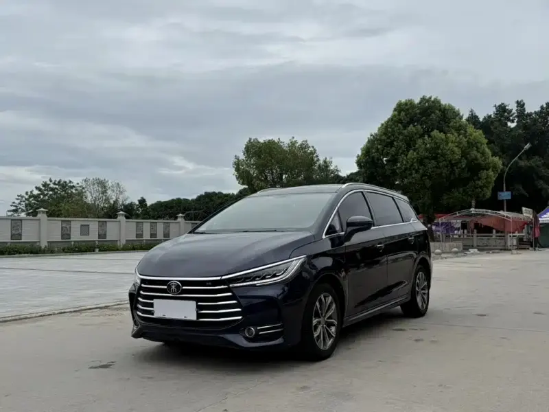 BYD MAX, 2020