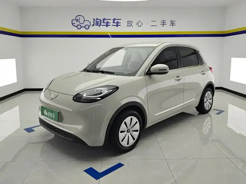 Wuling Bingo, 2024
