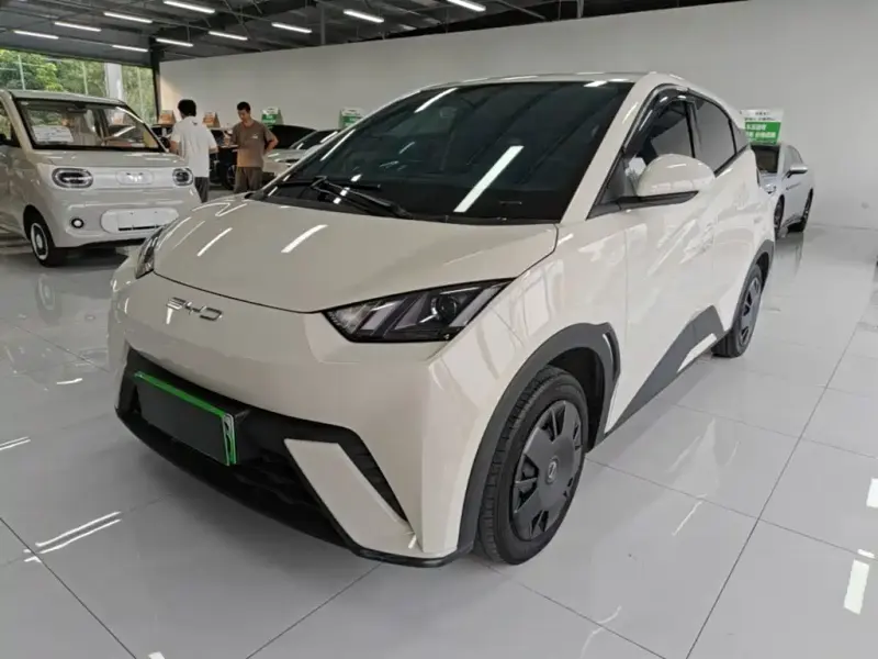 BYD Seagull, 2023