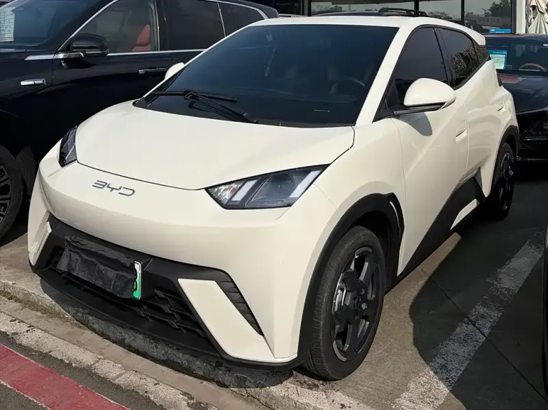 BYD Seagull, 2024