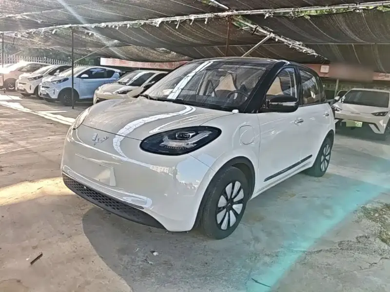 Wuling Bingo, 2023