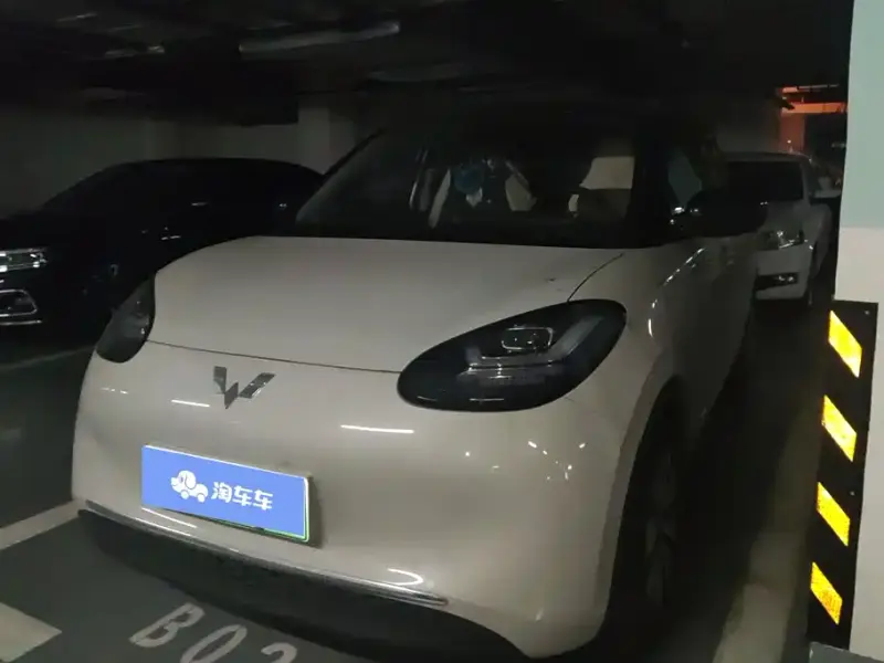 Wuling Bingo, 2024