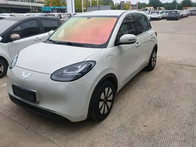 Wuling Bingo, 2024