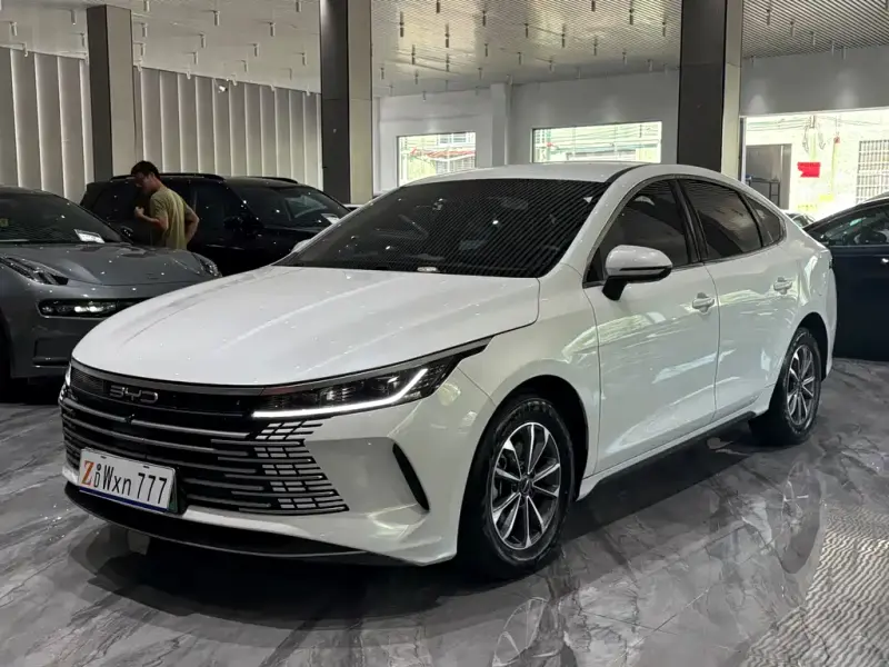 BYD Destroyer 05, 2024