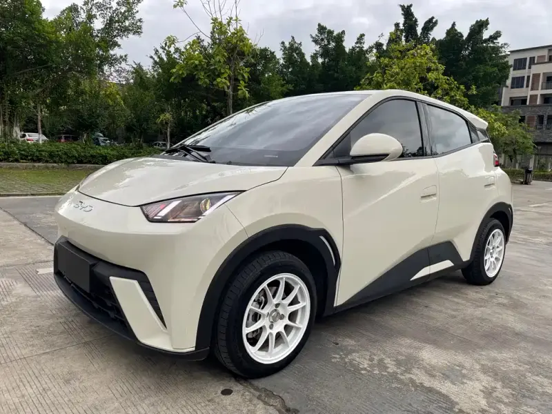BYD Seagull, 2024