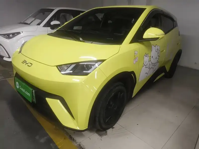 BYD Seagull, 2024