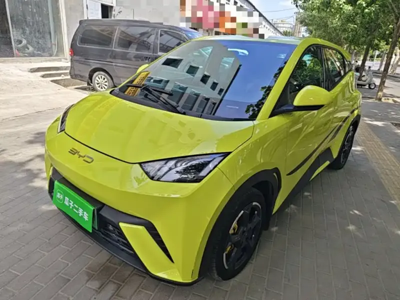 BYD Seagull, 2024