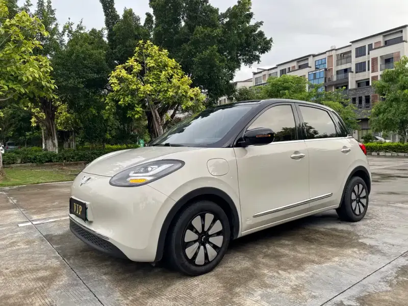 Wuling Bingo, 2024