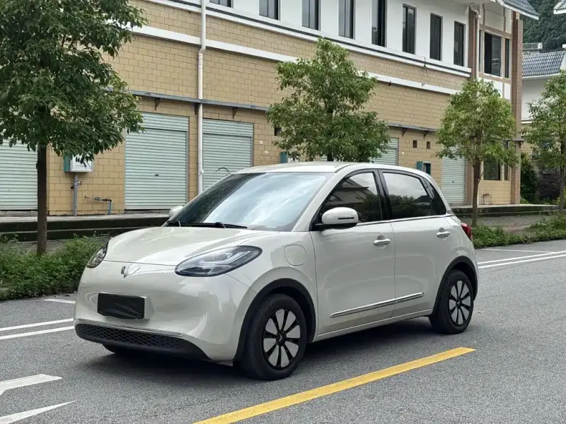 Wuling Bingo, 2025