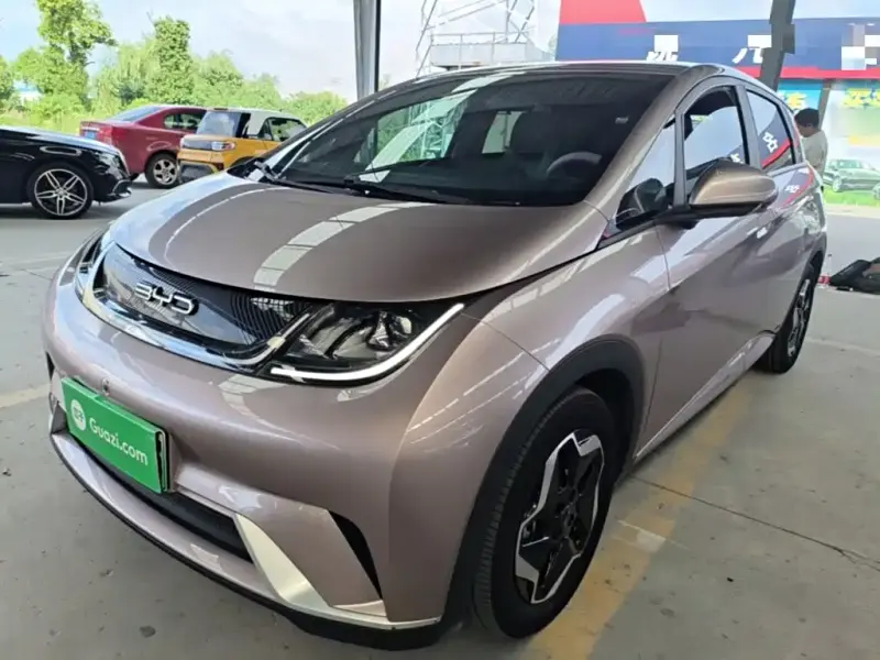 BYD Dolphin, 2022
