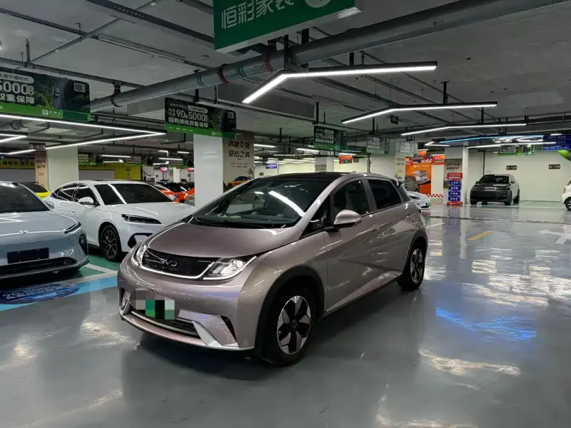 BYD Dolphin, 2024