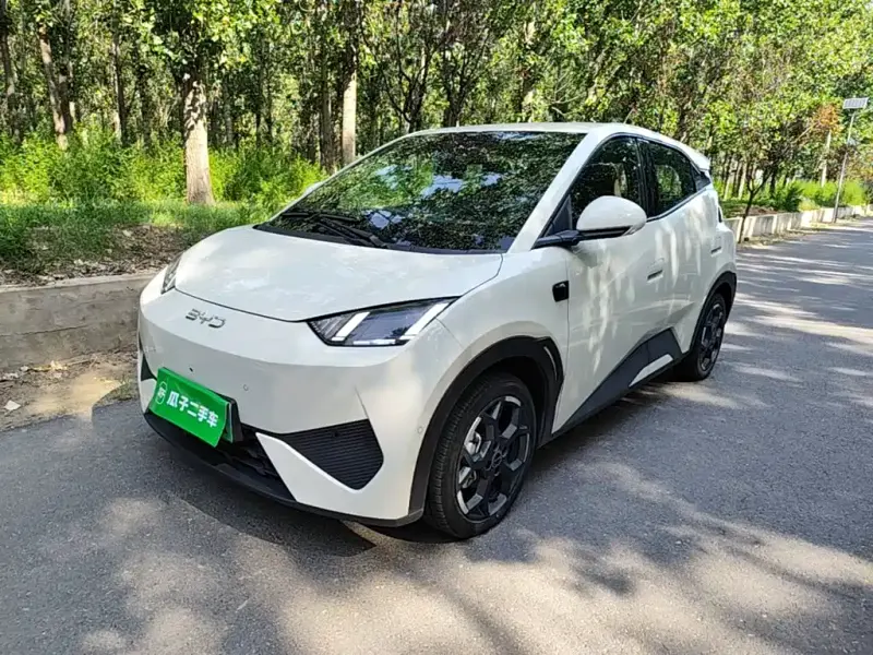 BYD Seagull, 2025