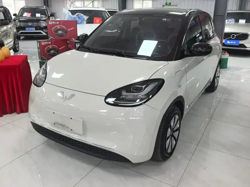 Wuling Bingo, 2025
