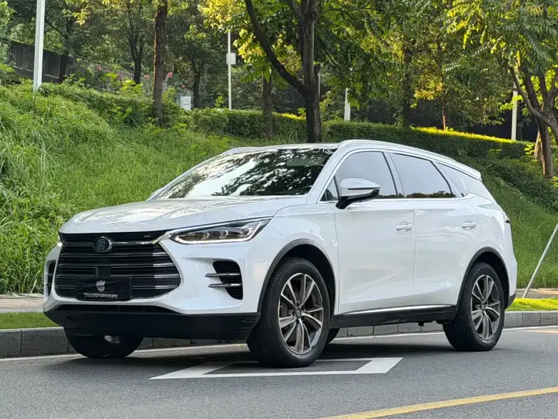 BYD Tang New Energy, 2020