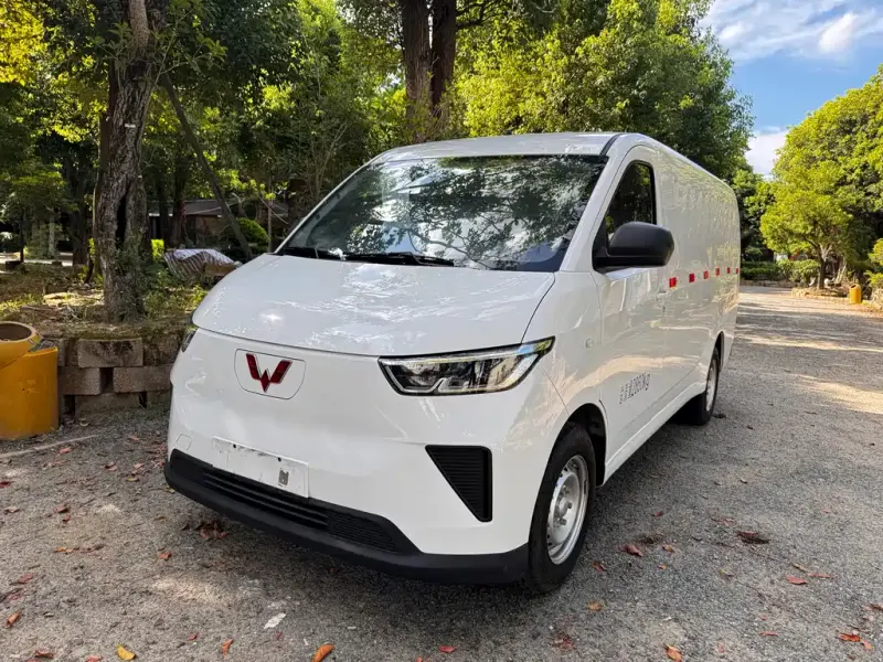 Wuling Yangguang, 2025