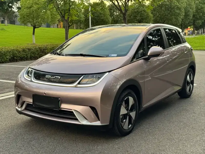 BYD Dolphin, 2024