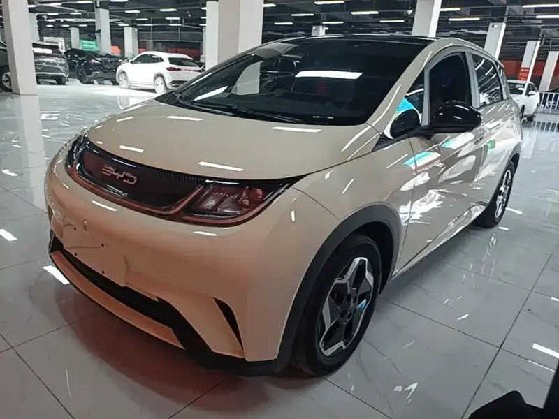 BYD Dolphin, 2023