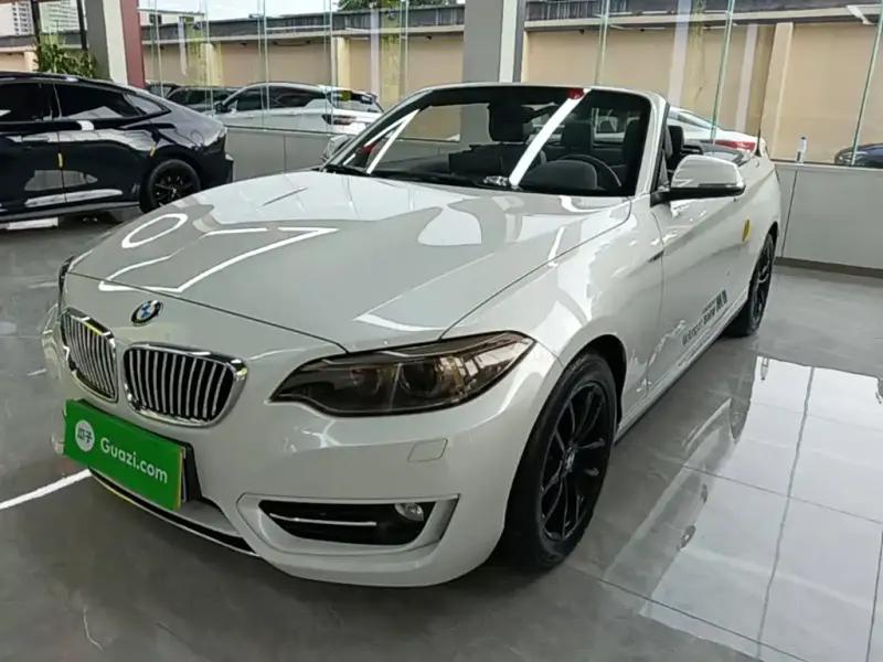 BMW 2 Series (Import), 2017