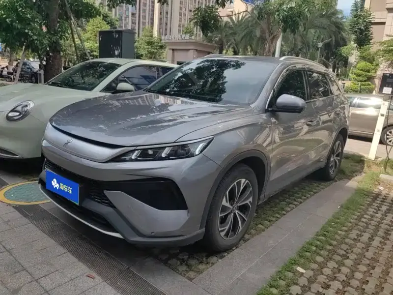 BYD Pro New Energy, 2024
