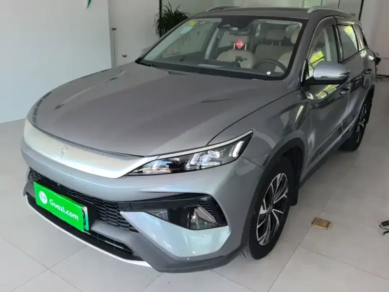 BYD Pro New Energy, 2025