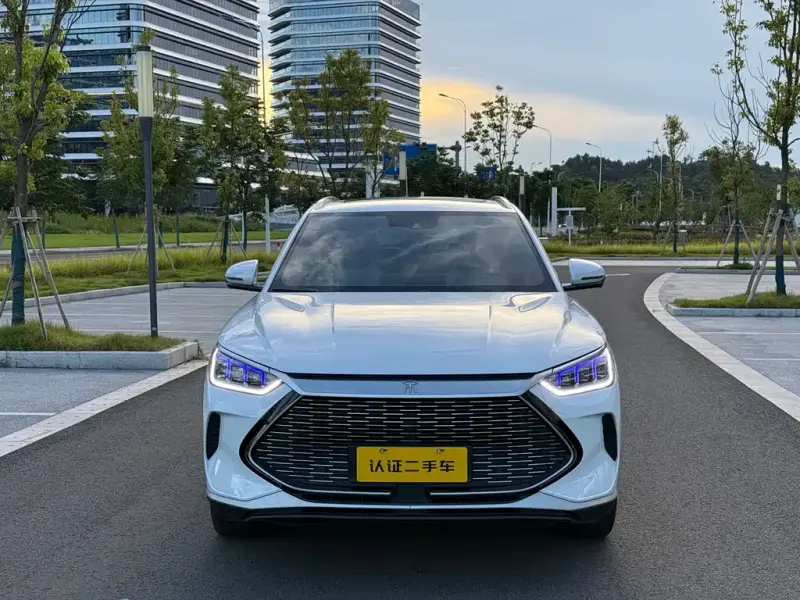 BYD PLUS New Energy, 2023