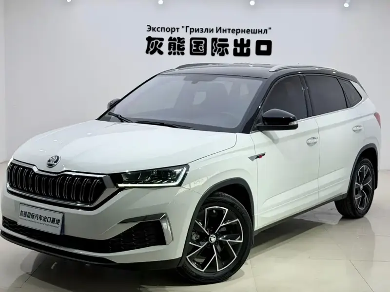 Skoda Kamiq, 2024