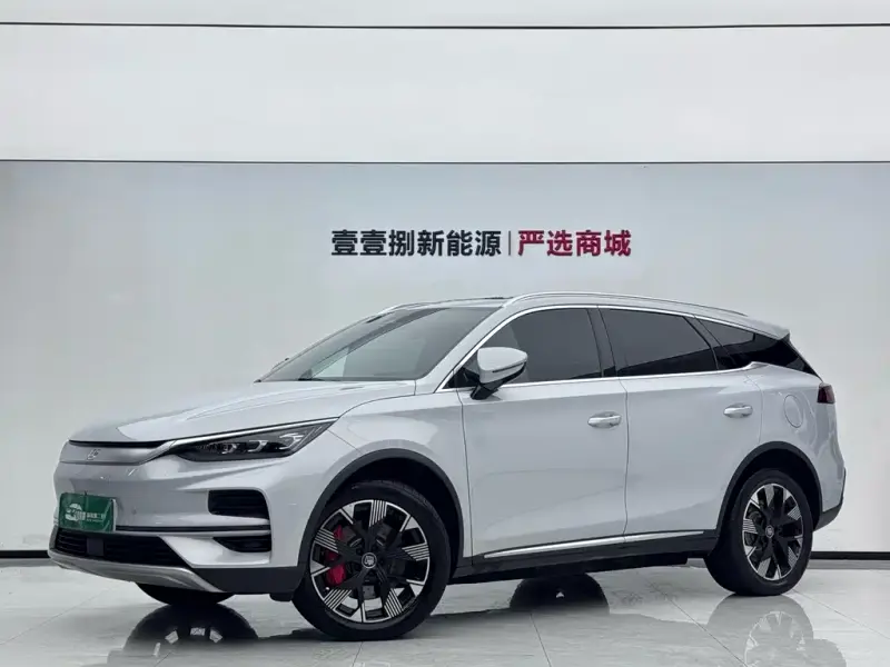BYD Tang New Energy, 2024