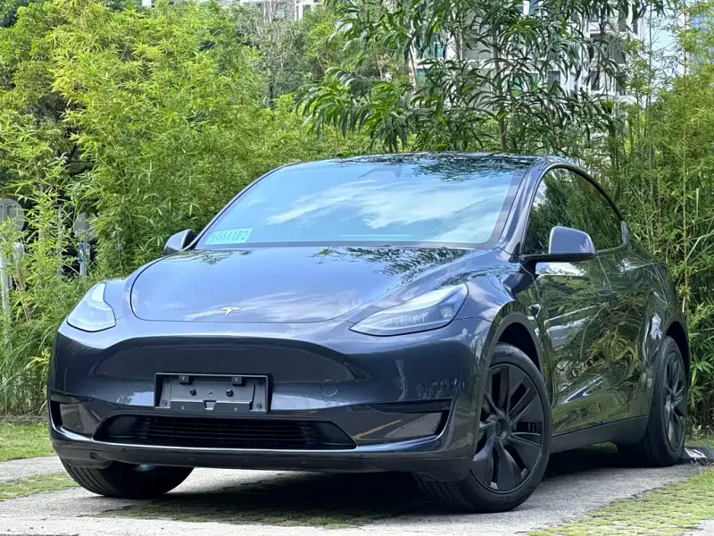Tesla Model Y, 2024