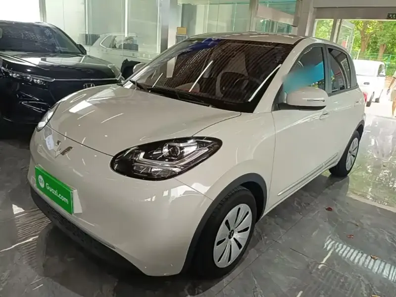 Wuling Bingo, 2024