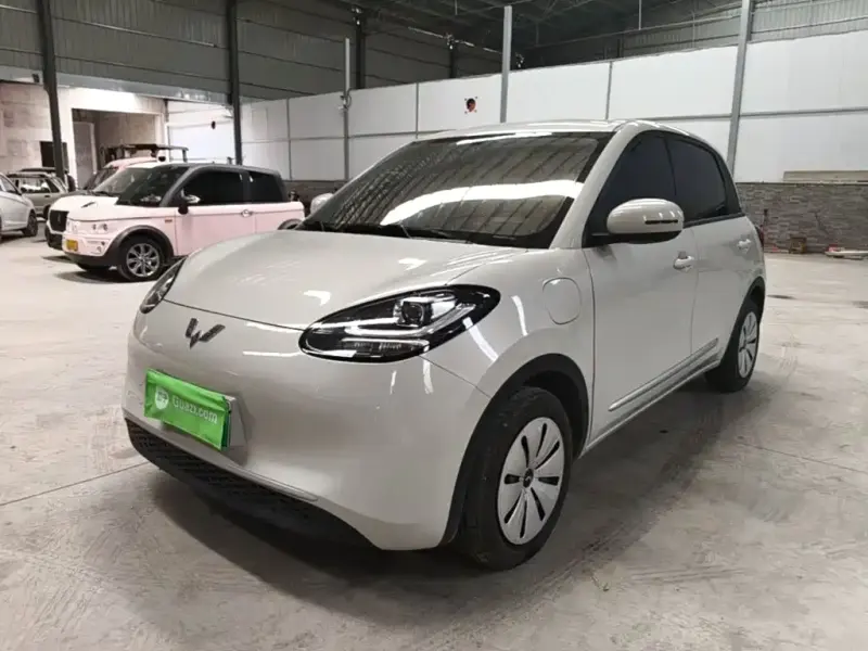 Wuling Bingo, 2024