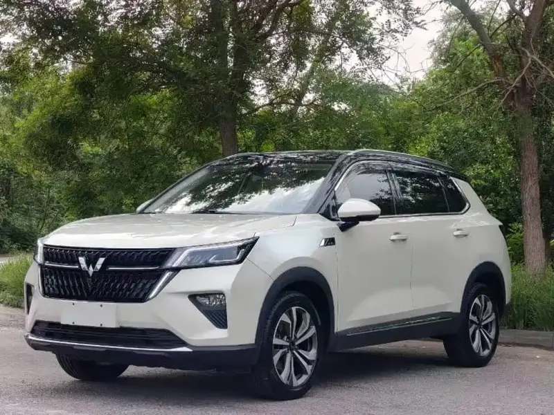 Wuling Xingchen, 2021