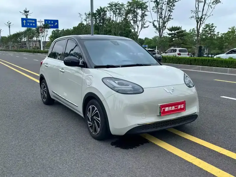 Wuling Bingo, 2023