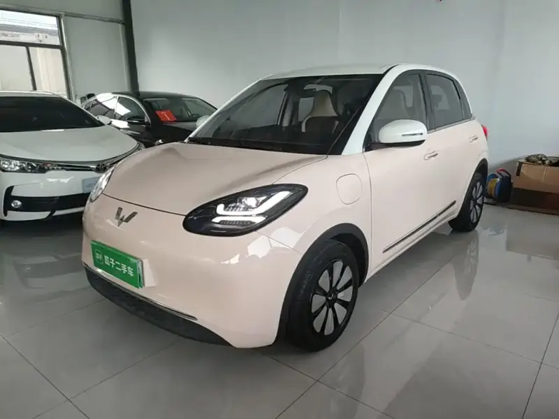 Wuling Bingo, 2023