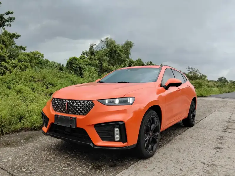 Wey VV7, 2019