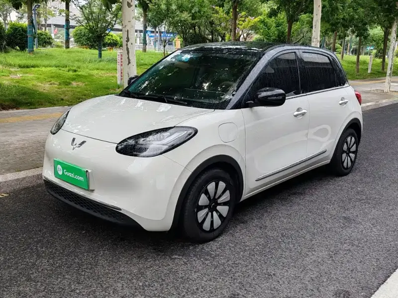Wuling Bingo, 2024