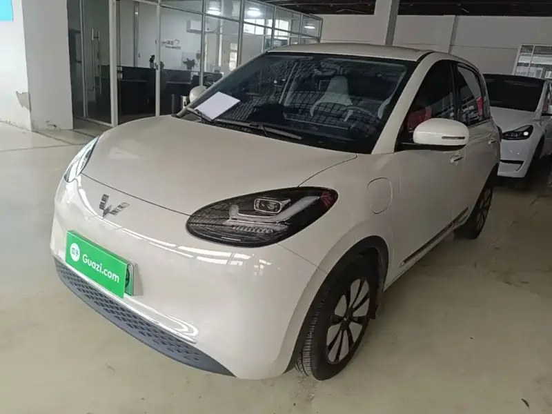 Wuling Bingo, 2024