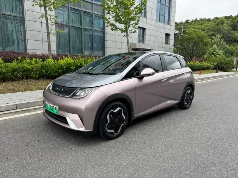 BYD Dolphin, 2022