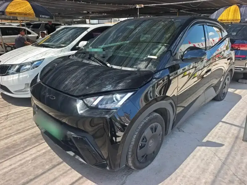 BYD Seagull, 2024