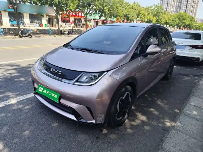BYD Dolphin, 2022